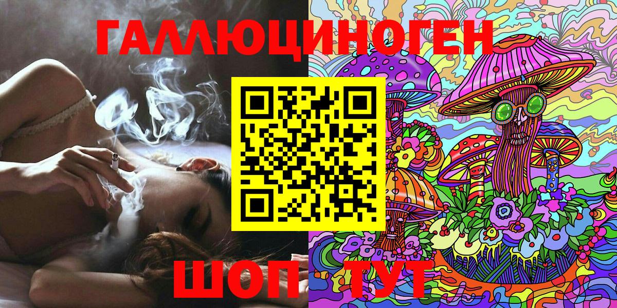 Псилоцибиновые грибы Psilocybe Александров
